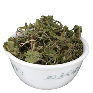 BRAHMI