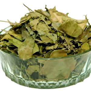 GUDMAR LEAF