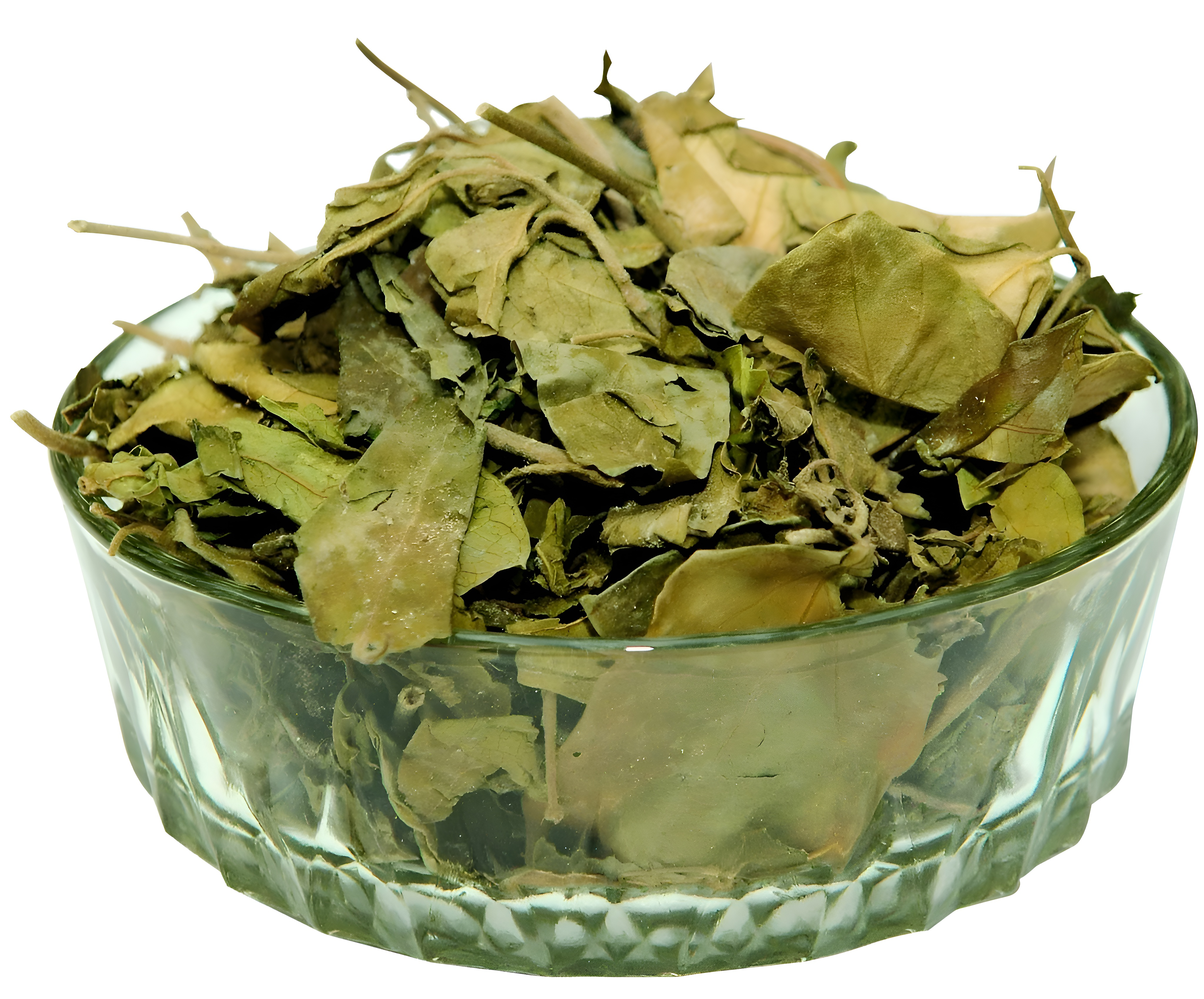 GUDMAR LEAF