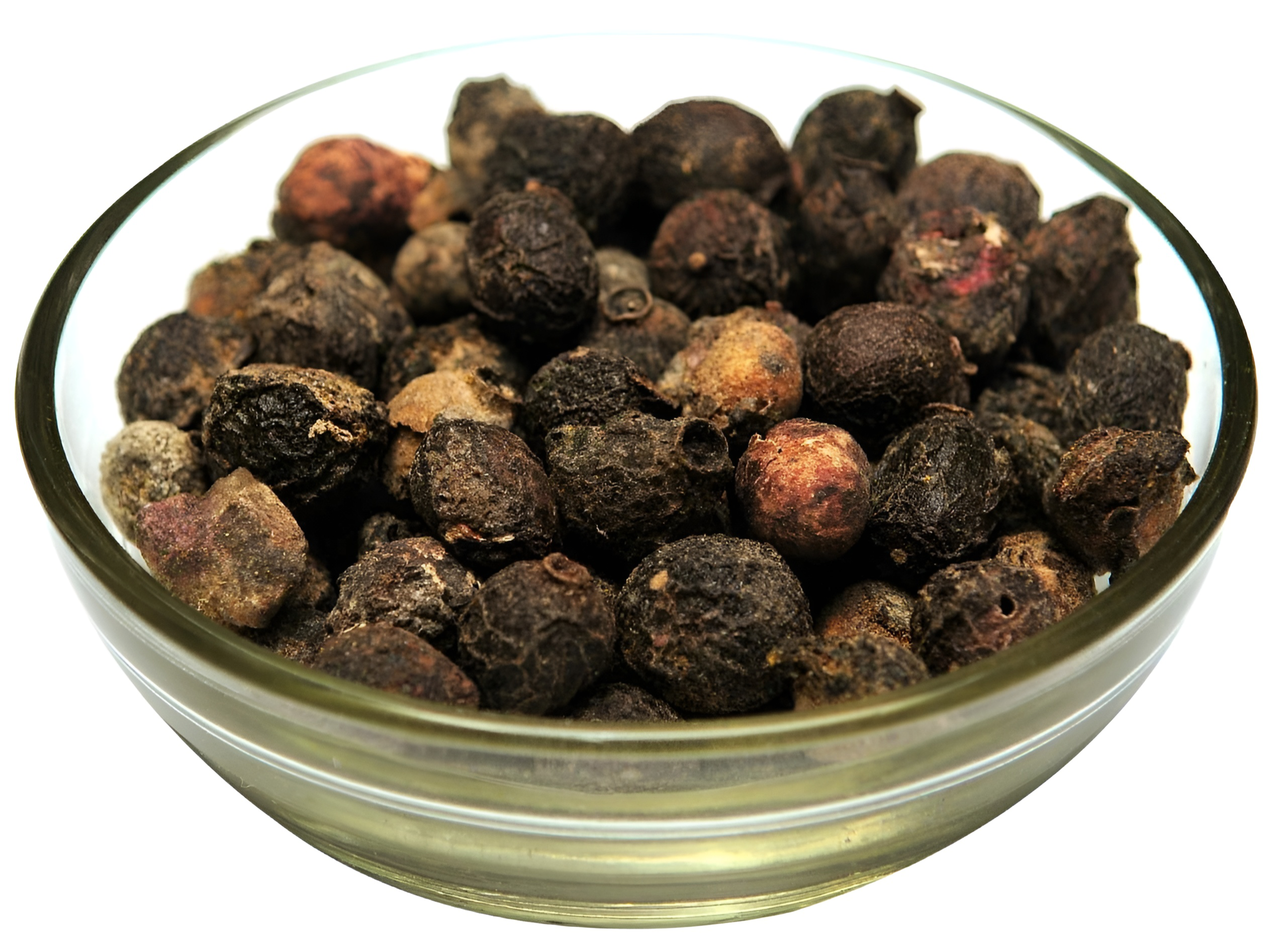 JAMU SEED