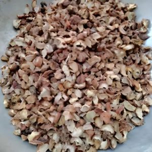 BAHADA FRUIT BARK