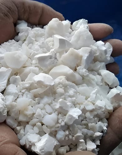 BANSLOCHAN (CHALK WHITE)