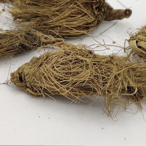 BHUTAKESI