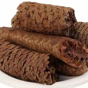GAJA PIPPALI