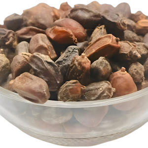 NEEM SEED