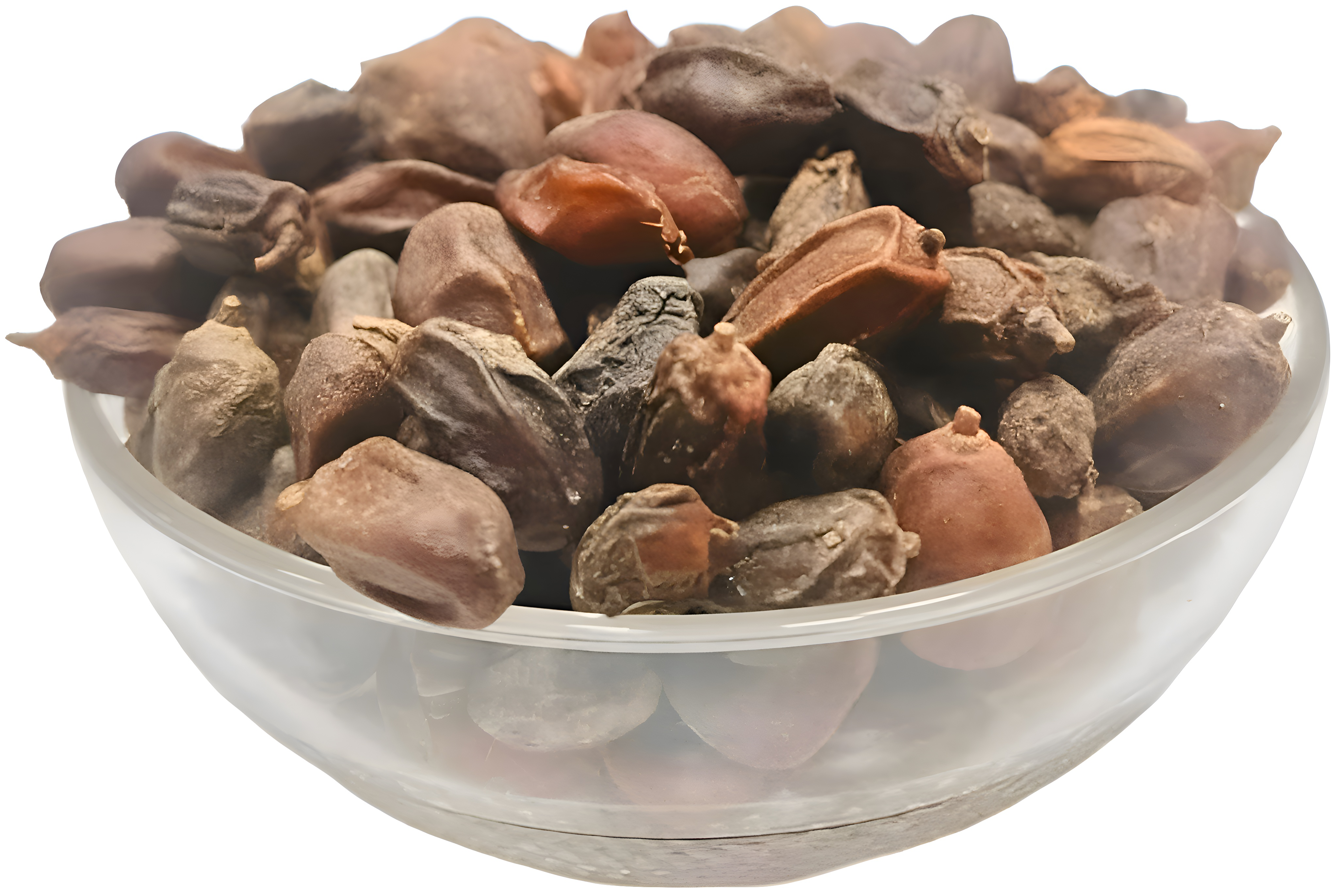 NEEM SEED