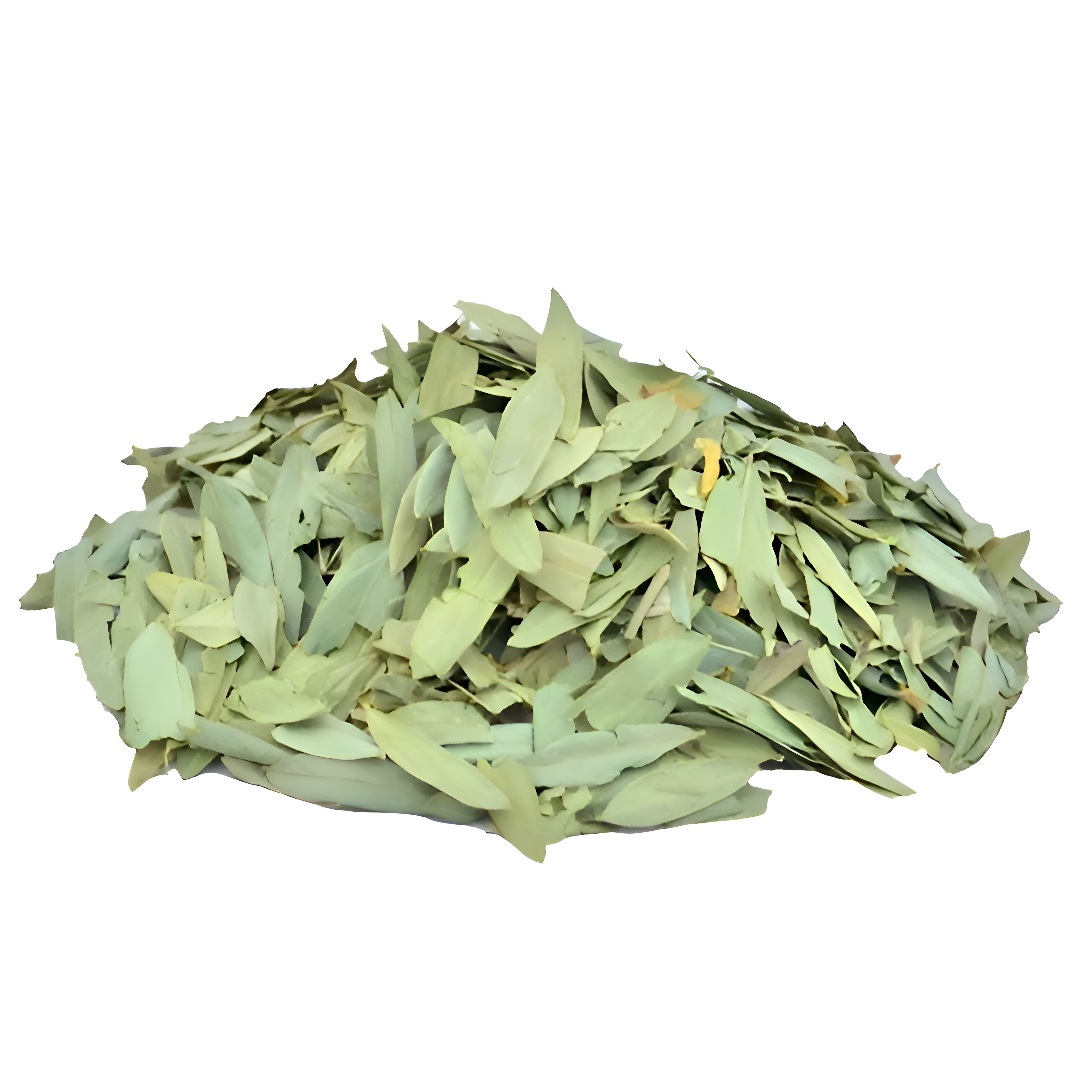 SONAMUKHI LEAF