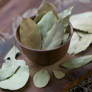 TEJ PATRA