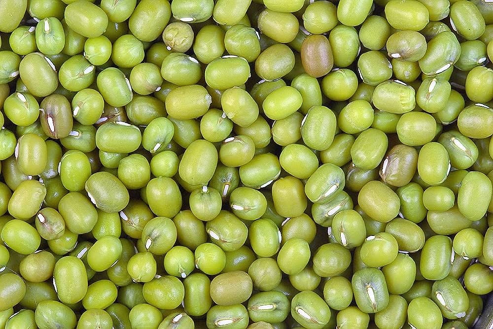KANIKA SEED