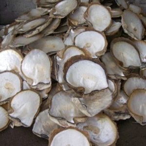 MUKTASUKTI (per 10gm)