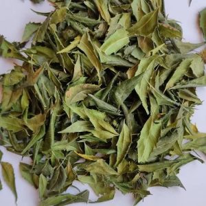 NEEM LEAF