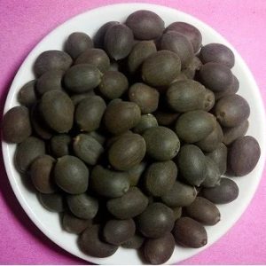PADMA SEED