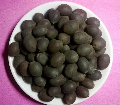 PADMA SEED